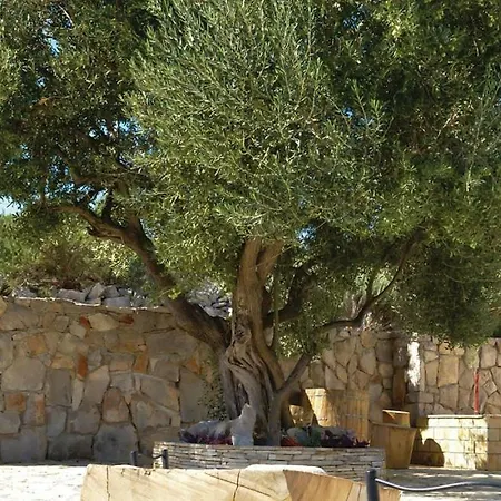 Gasthuis Nina Veliki Drvenik